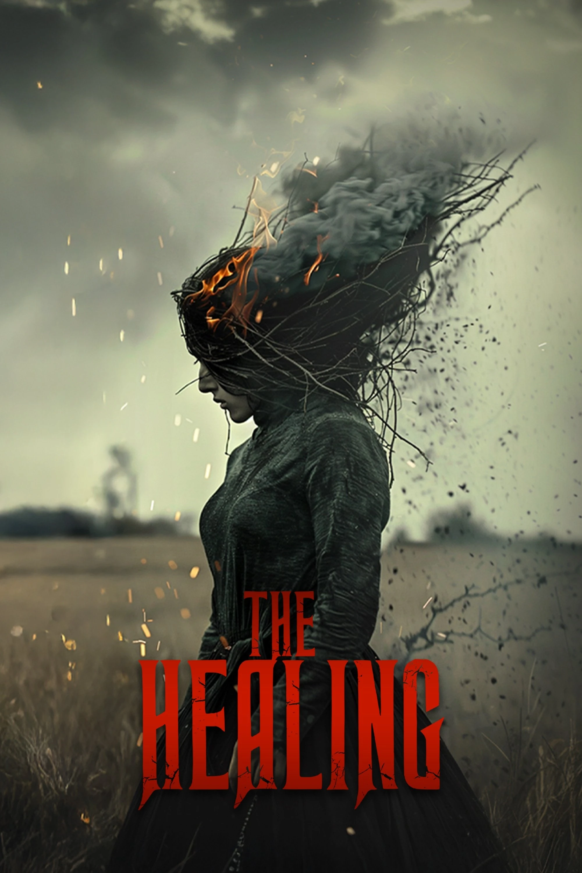 Chữa Lành - The Healing (2025)