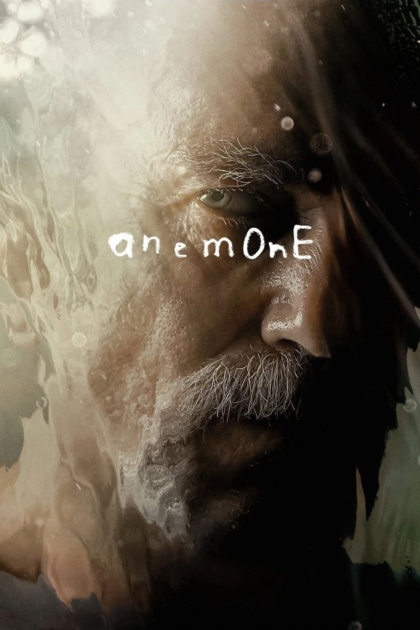 Hải Quỳ Nở Hoa - Anemone (2025)