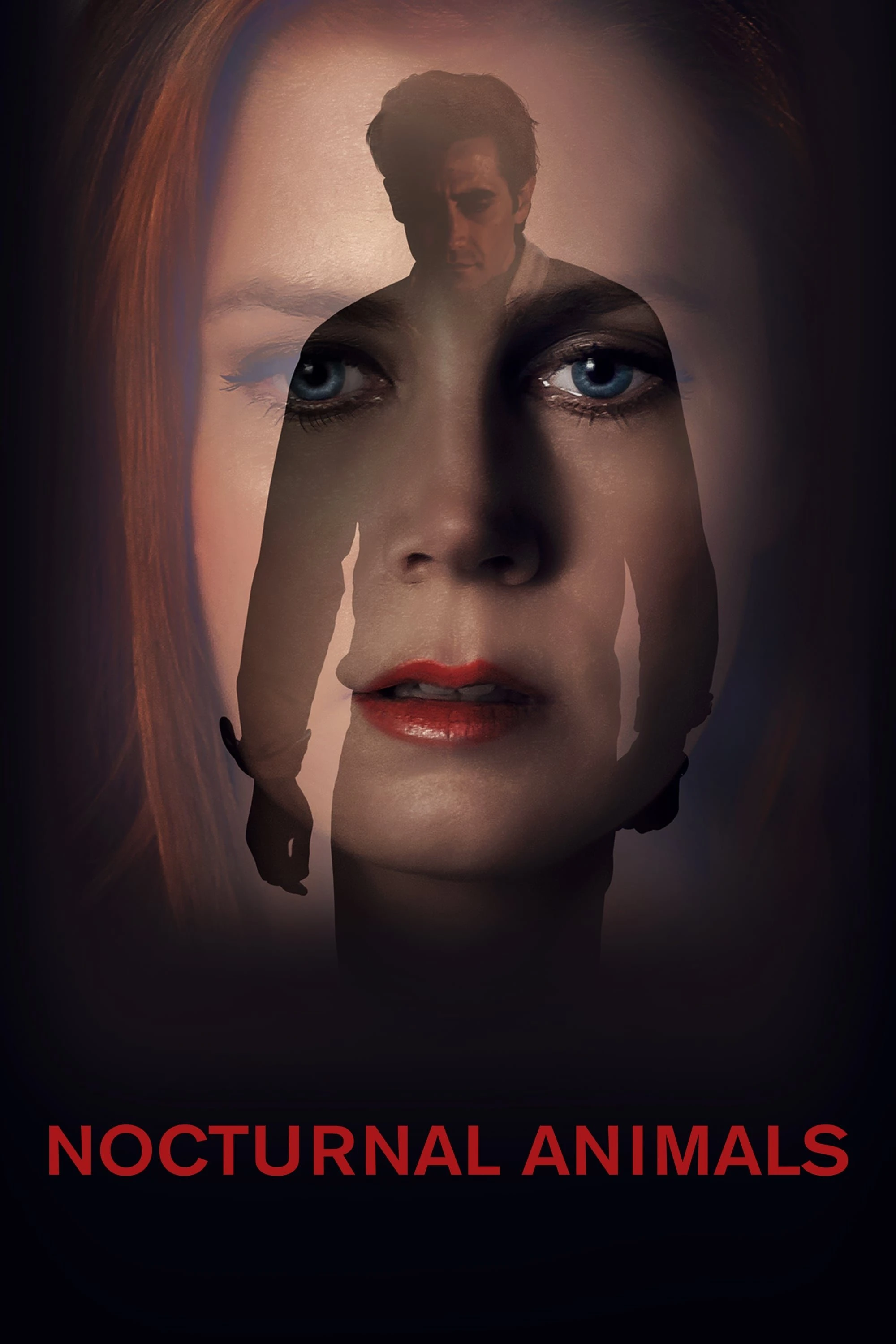Kẻ Săn Đêm - Nocturnal Animals (2016)
